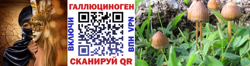 Галлюциногенные грибы мухоморы Кувандык